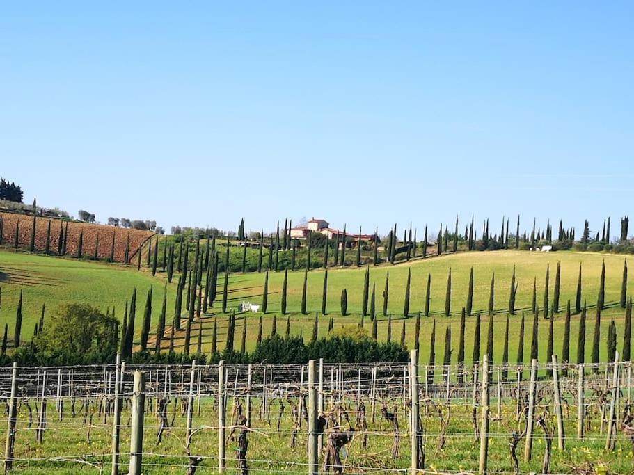 Castello Di Fulignano Ottone Superior Apartment San Gimignano Exterior photo